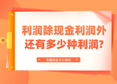 利润除现金利润外还有多少种利润?