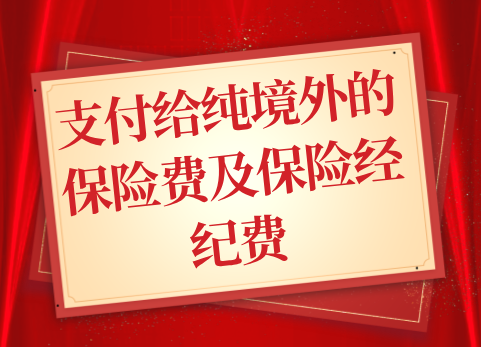 支付给纯境外的保险费及保险经纪费